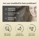 ⁦2030 Argan Professional Serum – סרום מקצועי משמן ארגן לשיער פגום⁩ – תמונה ⁦3⁩